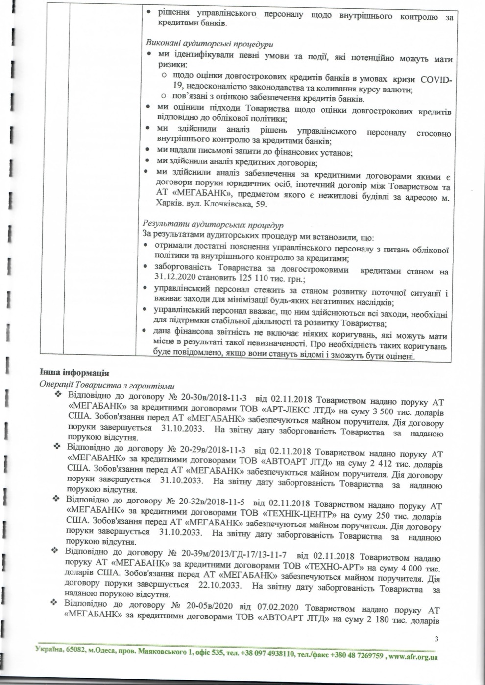 Аудиторський звіт 2020, сторінка 3